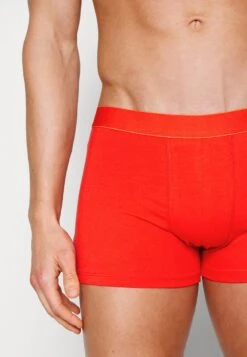 Pier One 7 PACK - Panties - Black /dark Blue/red -Pier One Verkäufe 005fcc1fa5b04046b02e34977f020016