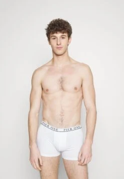 Pier One 5 PACK - Panties - White/pink/light Blue -Pier One Verkäufe 3721024dbc554890a6059d1e8168907f