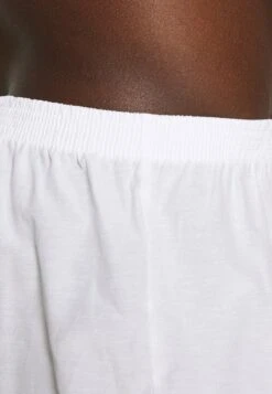 Pier One 5 PACK - Boxershorts - Light Blue/white -Pier One Verkäufe 8e2664e226c041628a342c1ad591e54d