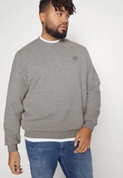 Pier One Sweatshirt - Grey -Pier One Verkäufe cf49486252674b43a74ae61d47433558