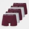 Pier One 5 PACK - Panties - Bordeaux/mottled Grey